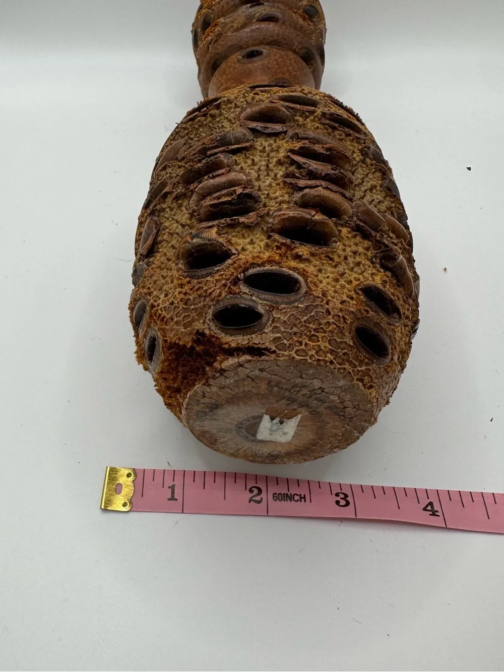 Vintage 1990 Banksia Pod Vase Turned Wood Seed Cone Bottle Studio Art MCM Brutal